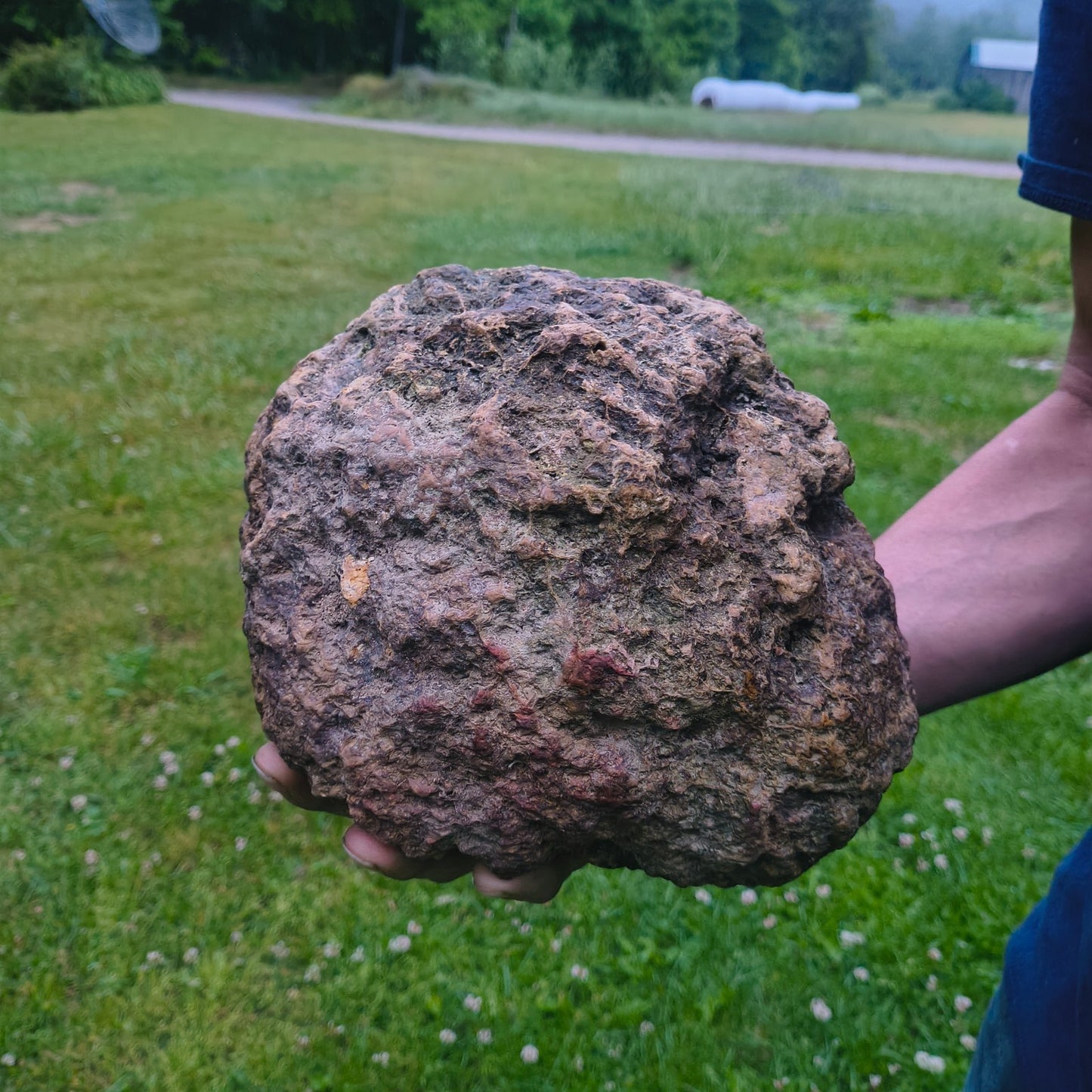 20.6 lb Unopened Kentucky Geode, Break Your Own Large Quartz Crystal, Hand Picked – Fishing Creek, KY