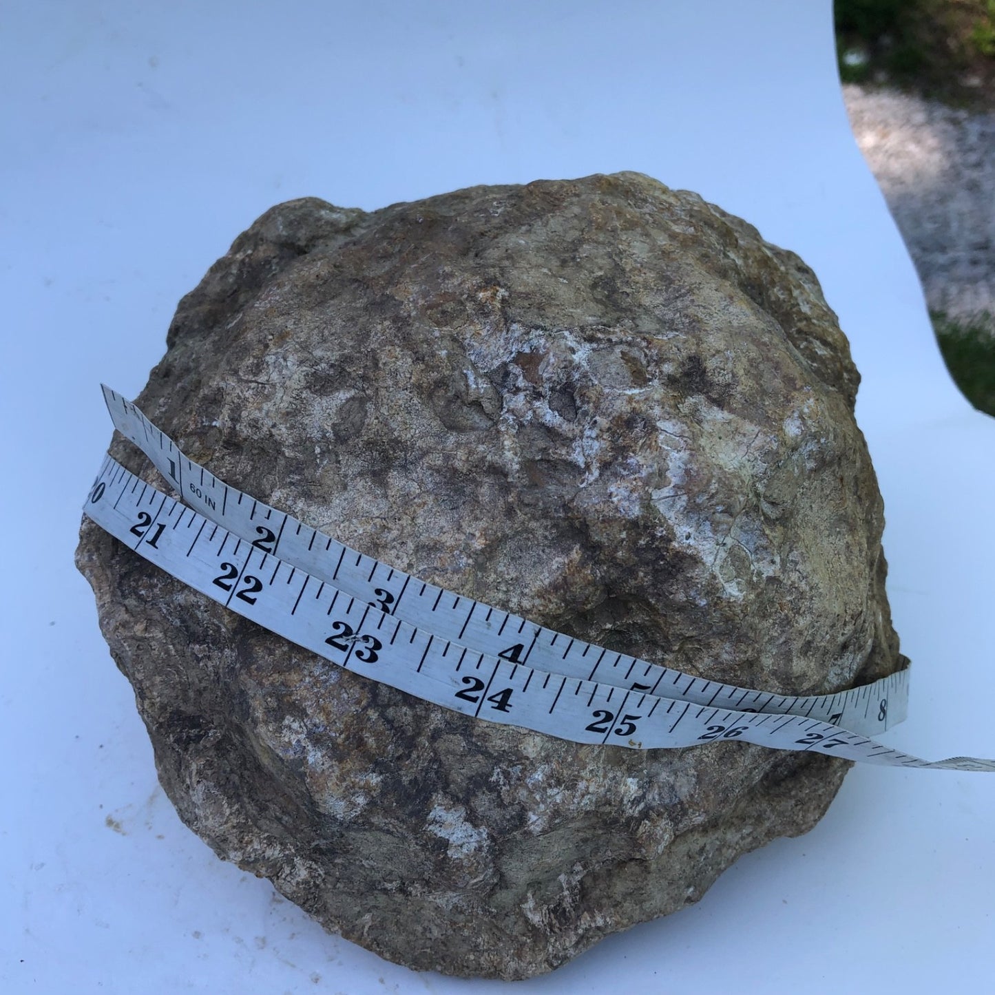 Large Kentucky Geode, 11.20 lb Unopened Natural Crystal Geode, Exact 9 Inch Specimen – Fishing Creek, KY