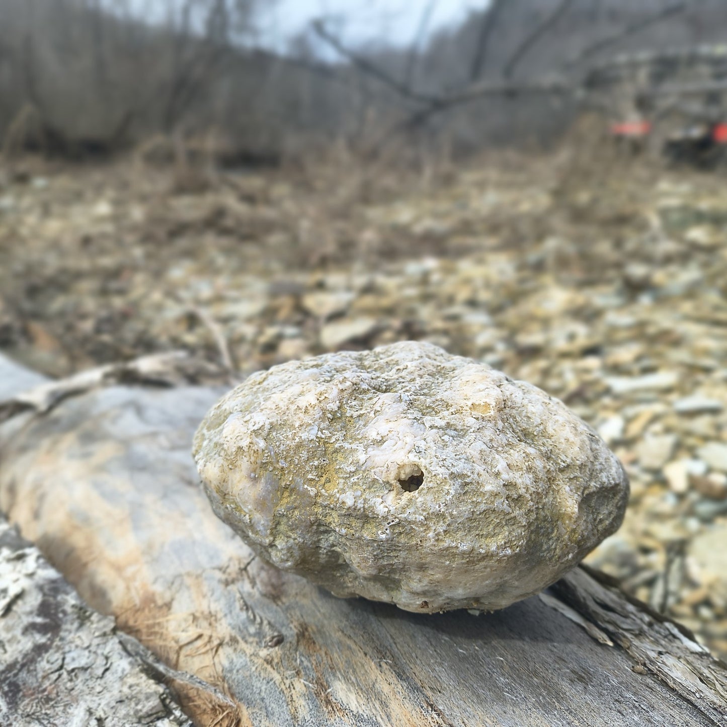 Authentic Kentucky Geode, 6 Inch, Unopened Exact Specimen, Natural Crystal Inside, 3lb – Fishing Creek, KY