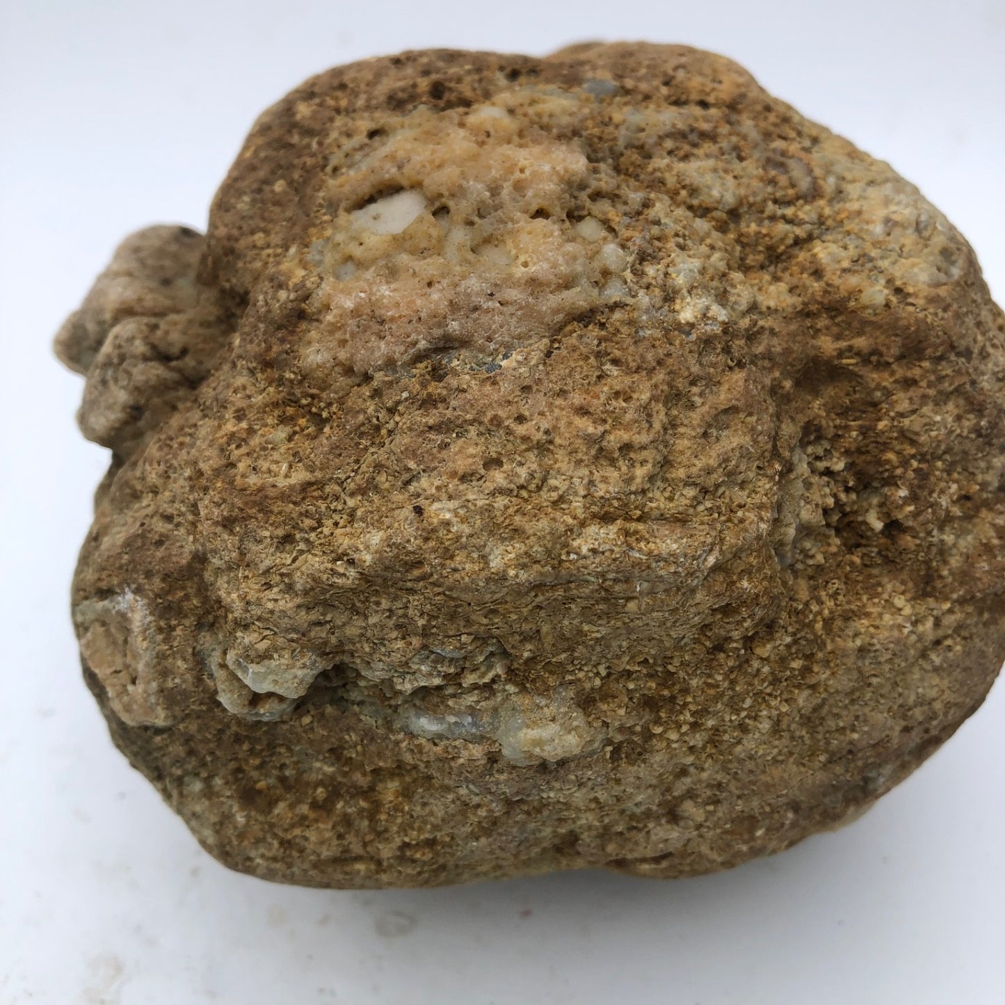 4 lb Unopened Kentucky Geode Rattler, Break Your Own, Hand Picked Natural Quartz – Fishing Creek, KY
