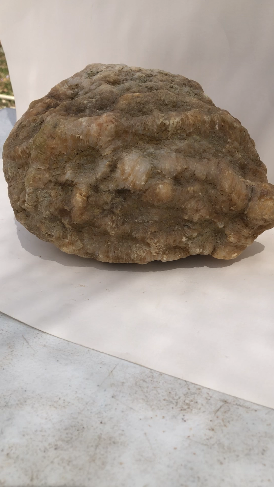 18.44 lb Kentucky Thunder Egg Geode, Lincoln County, Nodular Chalcedony, Uncut – Fishing Creek, KY