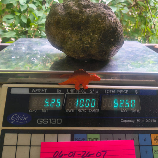Unopened Kentucky Geode — 5.25 lb, 5.5" Wide Rounded Nodule, Crack Your Own