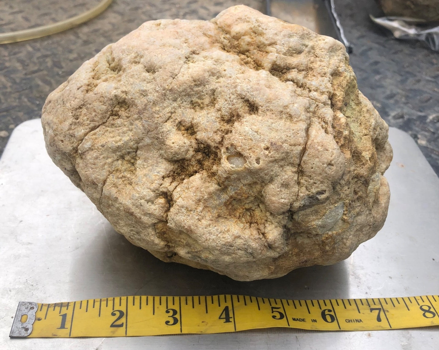 Unopened Kentucky Geode — 7" Wide Large Display Nodule, Crack Your Own