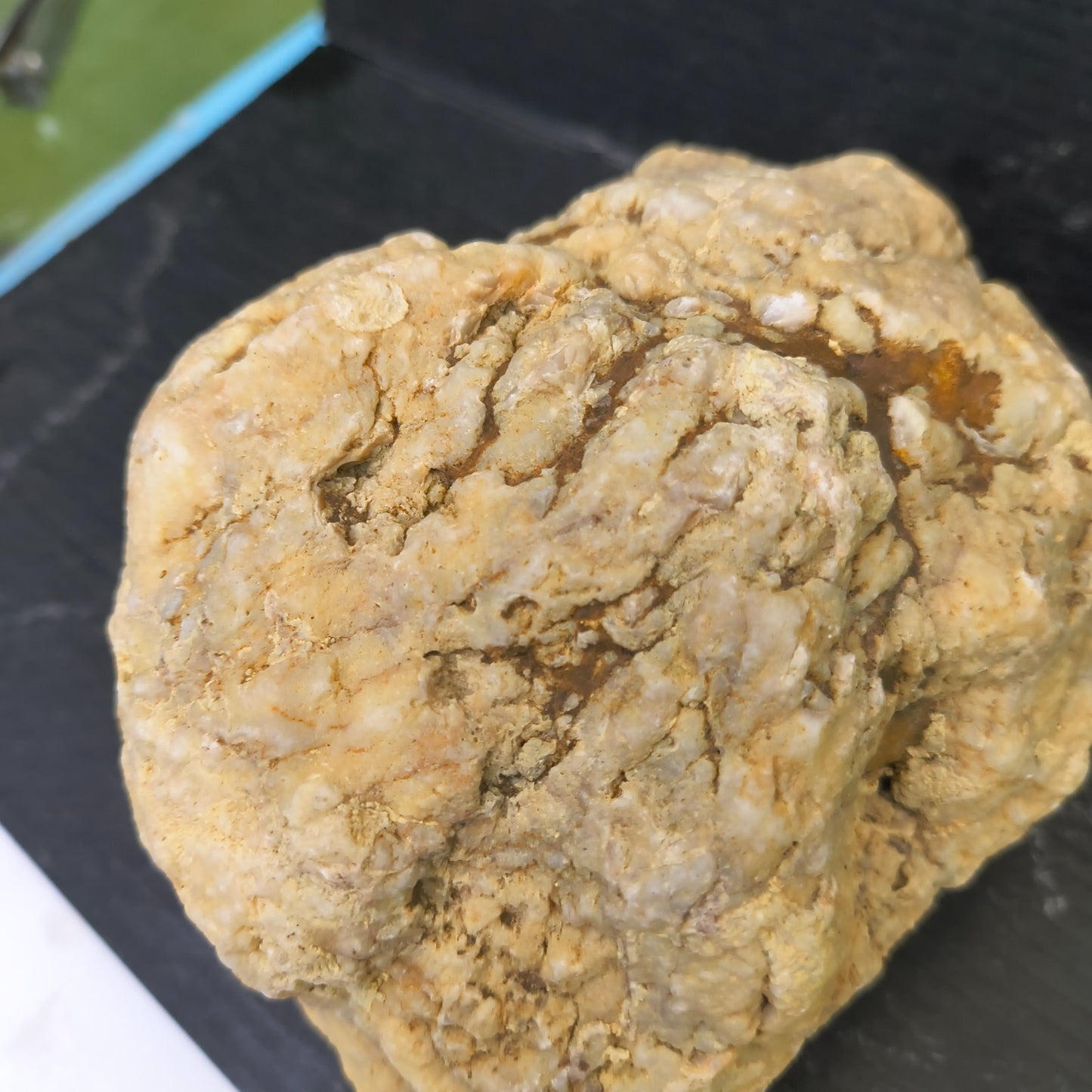 3.67 lb Natural Kentucky Geode, Unopened Whole Exact Specimen, 14 Inch Circ, Bonus – Fishing Creek, KY