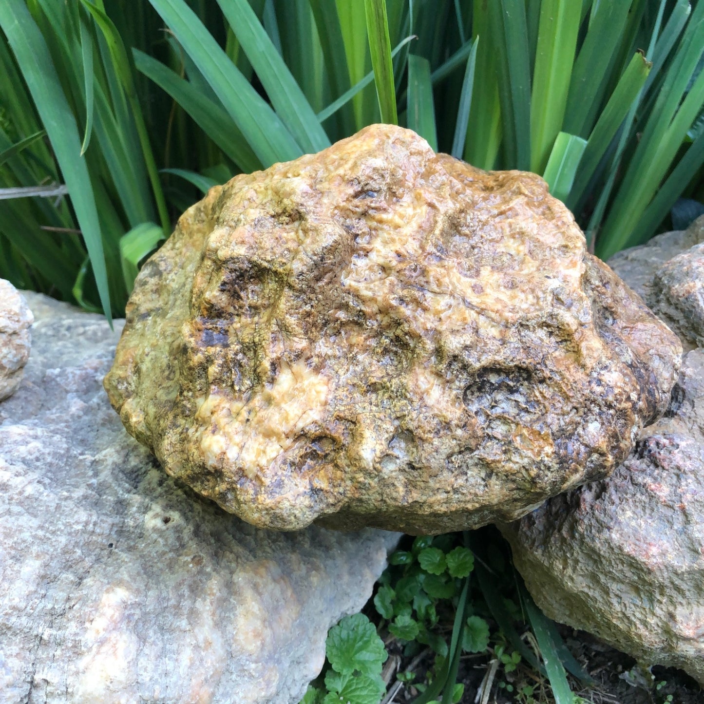 Large Kentucky Geode, 11.20 lb Unopened Natural Crystal Geode, Exact 9 Inch Specimen – Fishing Creek, KY