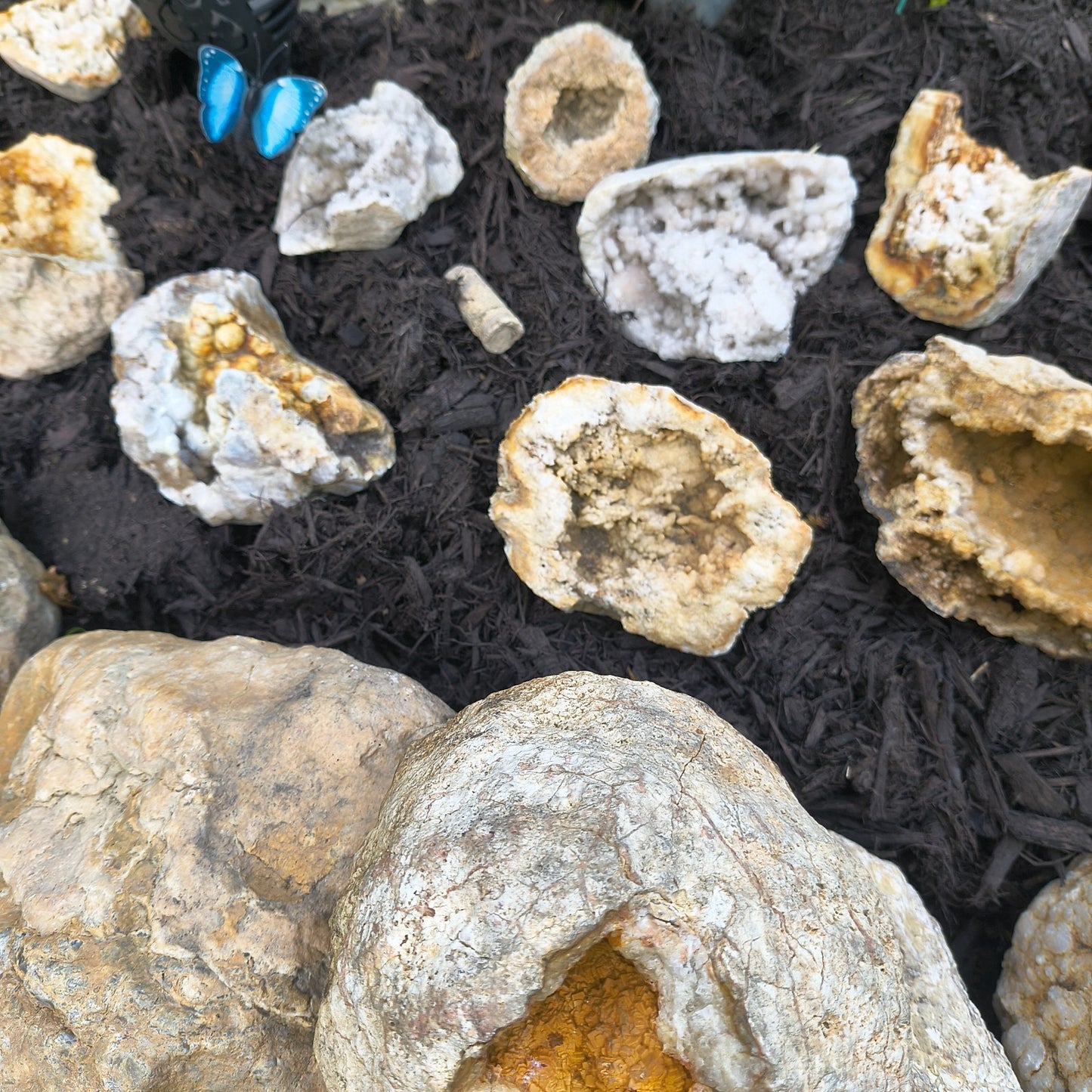 Kentucky Geode Crystal Opening, Natural Rock Specimen, Real Kentucky Geode – Fishing Creek, KY