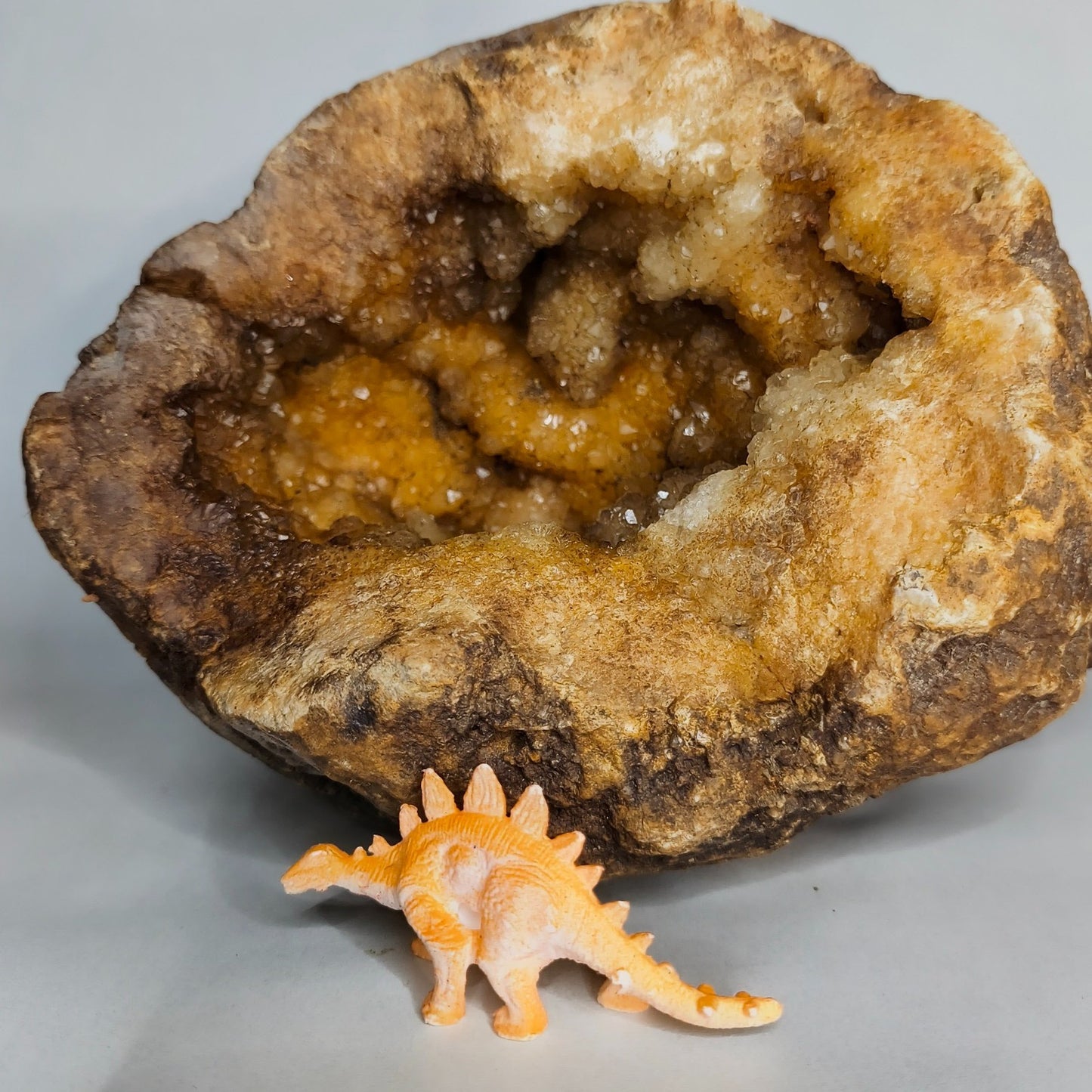 5 lb 3 oz Open KY Geode, Golden Crystal Cavity, Large Display Specimen, Collectible – Fishing Creek, KY