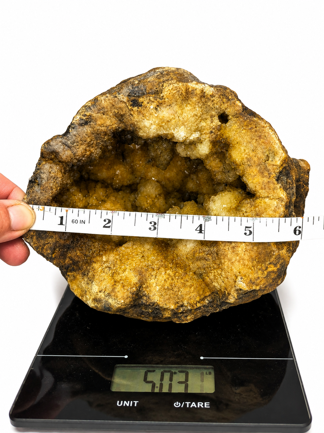 5 lb 3 oz Open KY Geode, Golden Crystal Cavity, Large Display Specimen, Collectible – Fishing Creek, KY