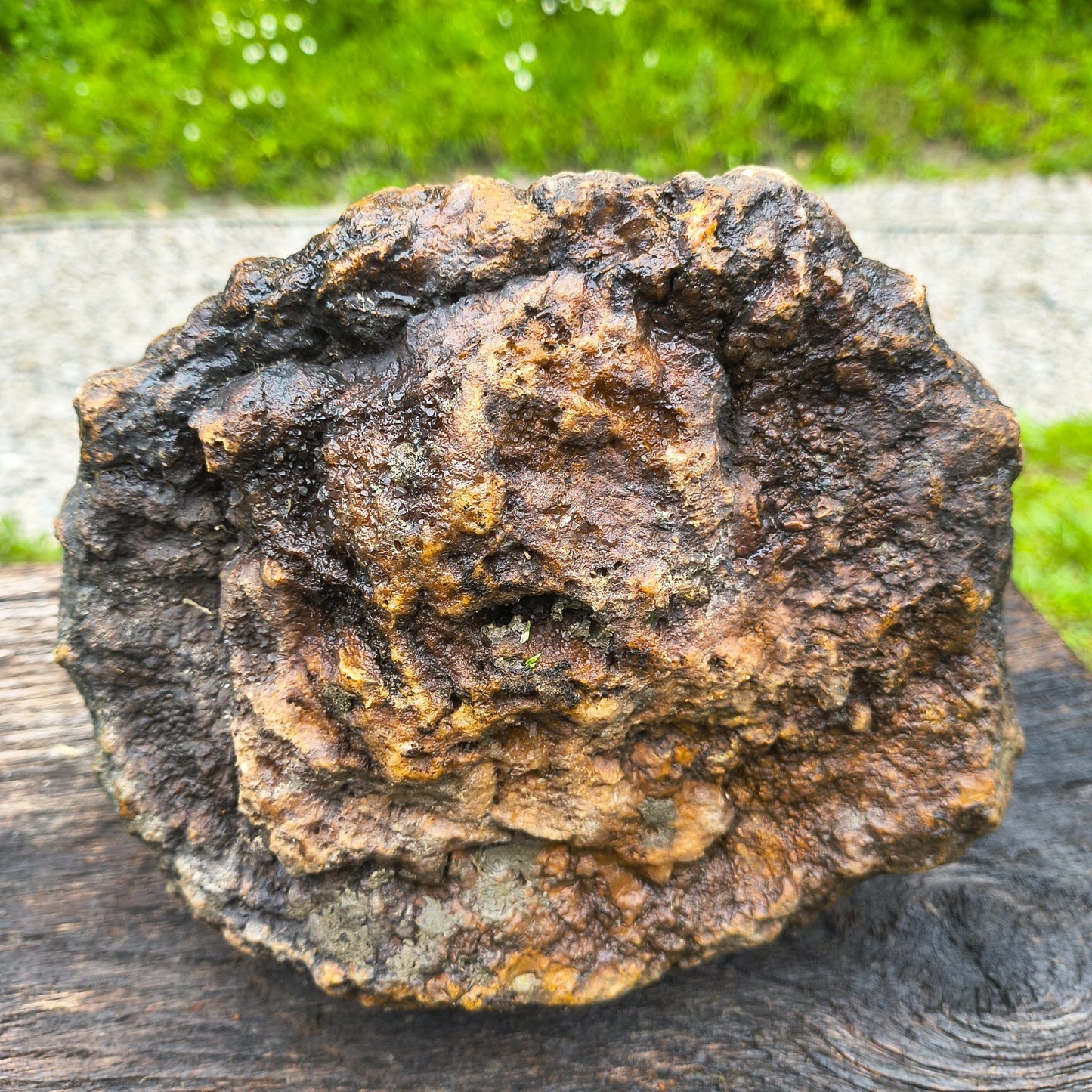 Large Kentucky Geode, Natural Unopened Crystal Geode, Collector Specimen – Fishing Creek, KY