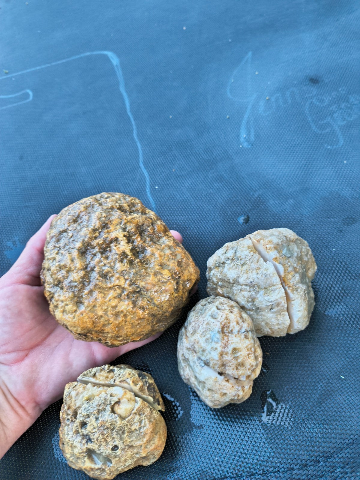 3 lb 4.5 oz Natural Kentucky Crystal Lined, Open Druzy Quartz Display – Fishing Creek, KY