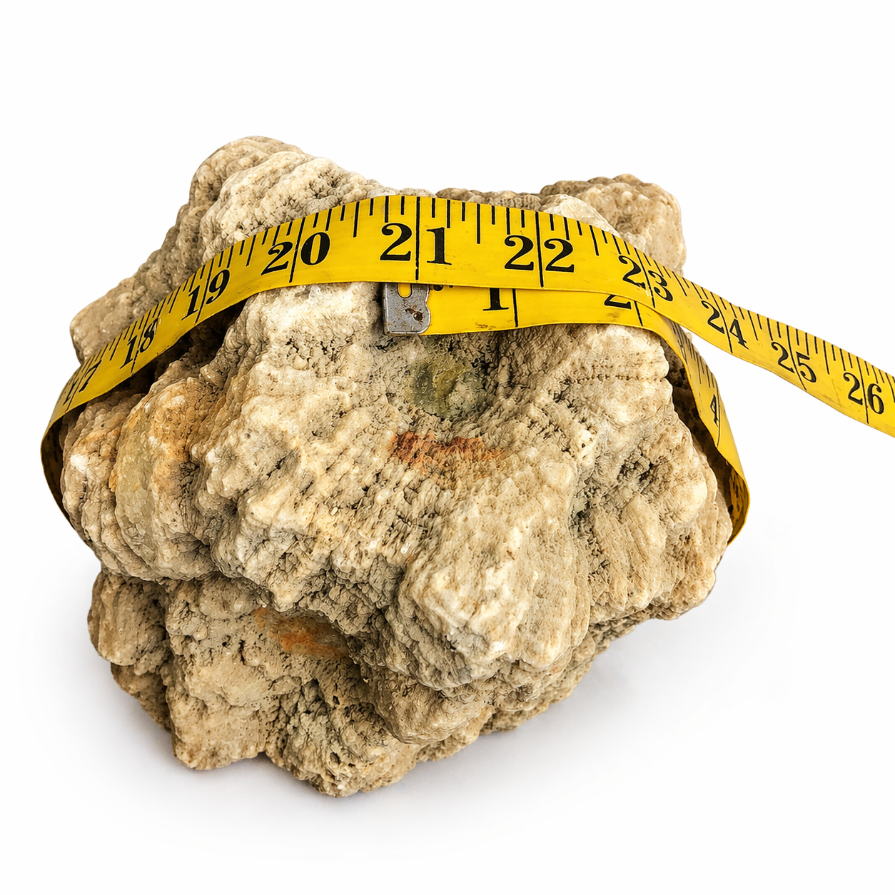 Large 11.32 lb Natural Kentucky Mineral Specimen, Display Rock – Fishing Creek, KY