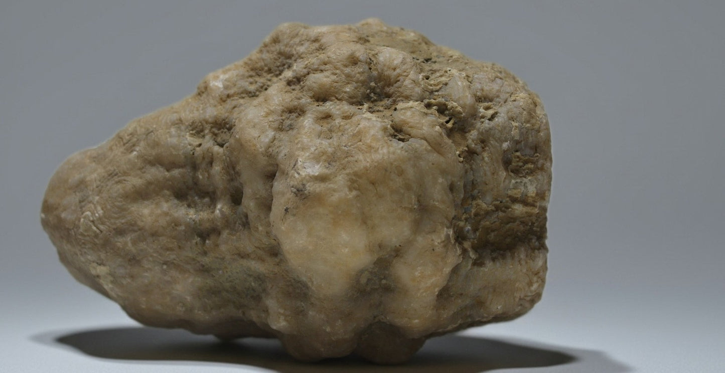 Kentucky Whole Geode, Natural Unopened Crystal Nodule, 7.74 lb, Exact Stone – Fishing Creek, KY