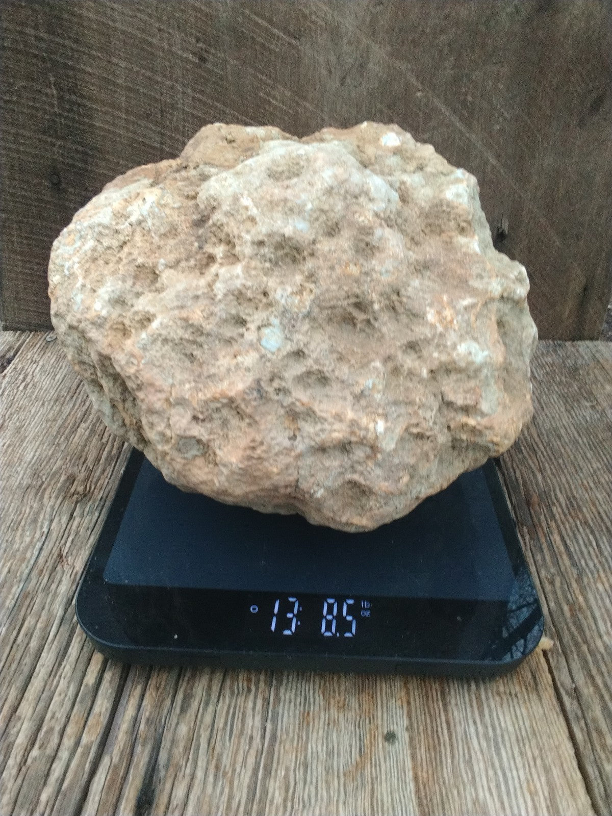 Exact Kentucky Geode, 13+ lb Unopened Natural Quartz Crystal, Crack Your Own – Fishing Creek, KY