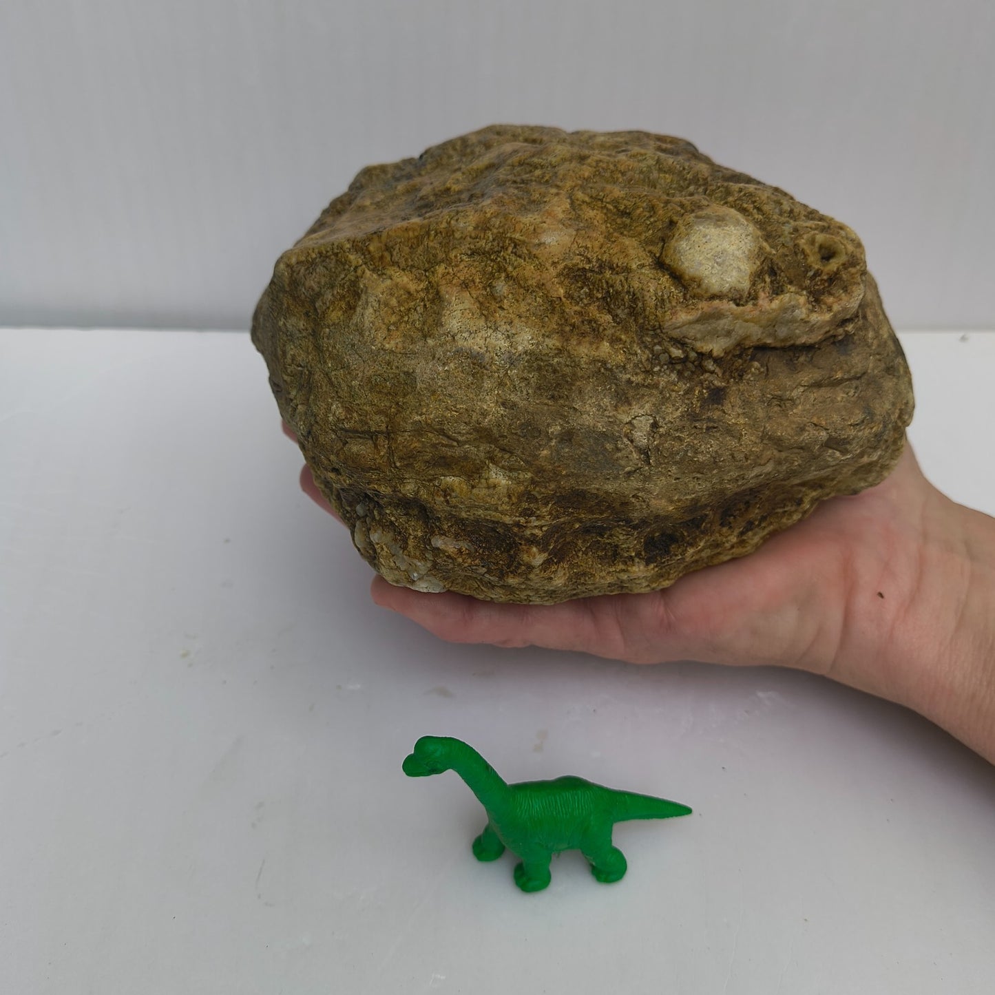 4.44 lb Kentucky Geode, Unopened Exact Specimen, Natural Whole Geode – Fishing Creek, KY