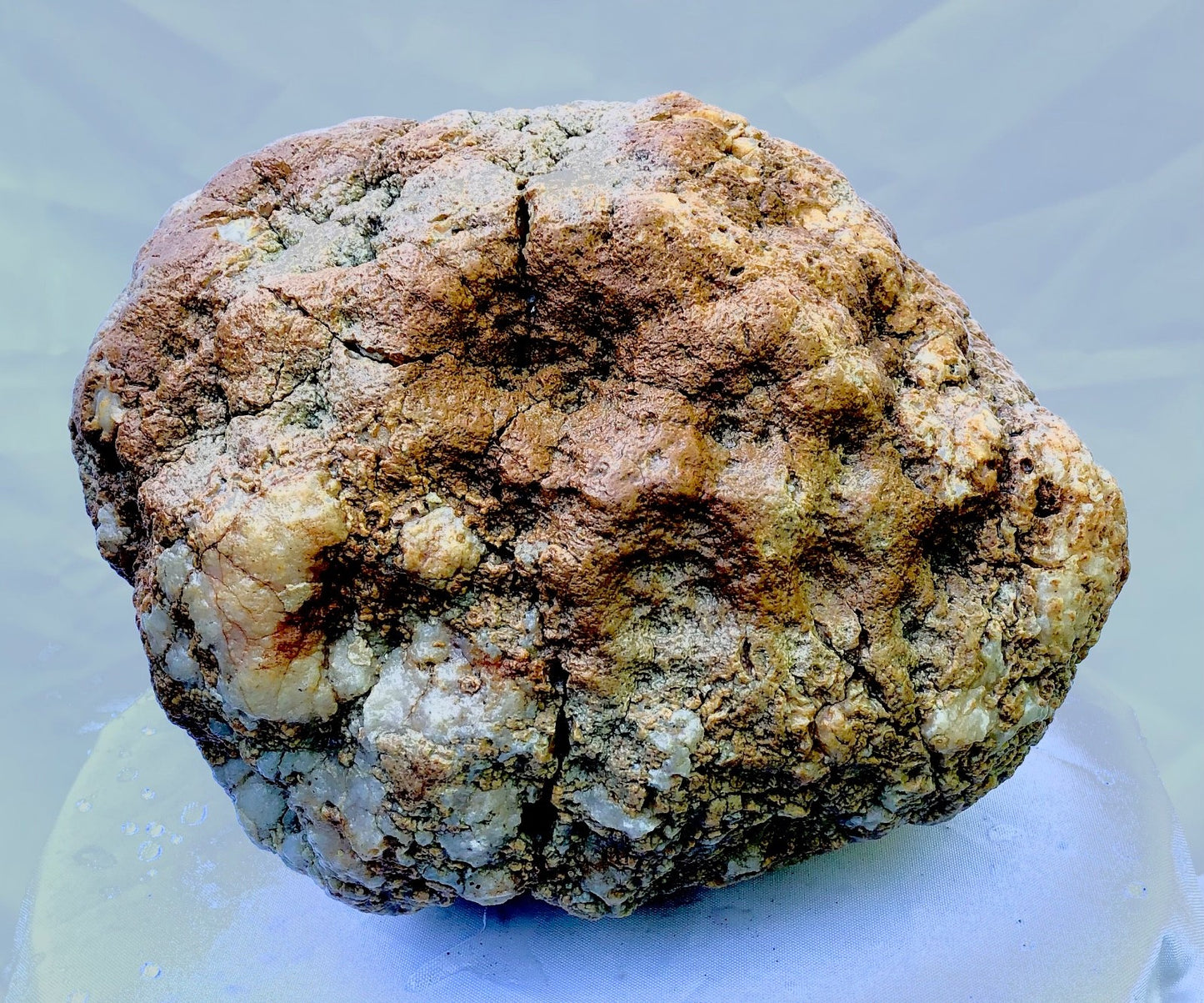 12.32 lb Unopened Kentucky Geode Rattler, Break Your Own, Hand Picked KY, 10 Inch – Fishing Creek, KY