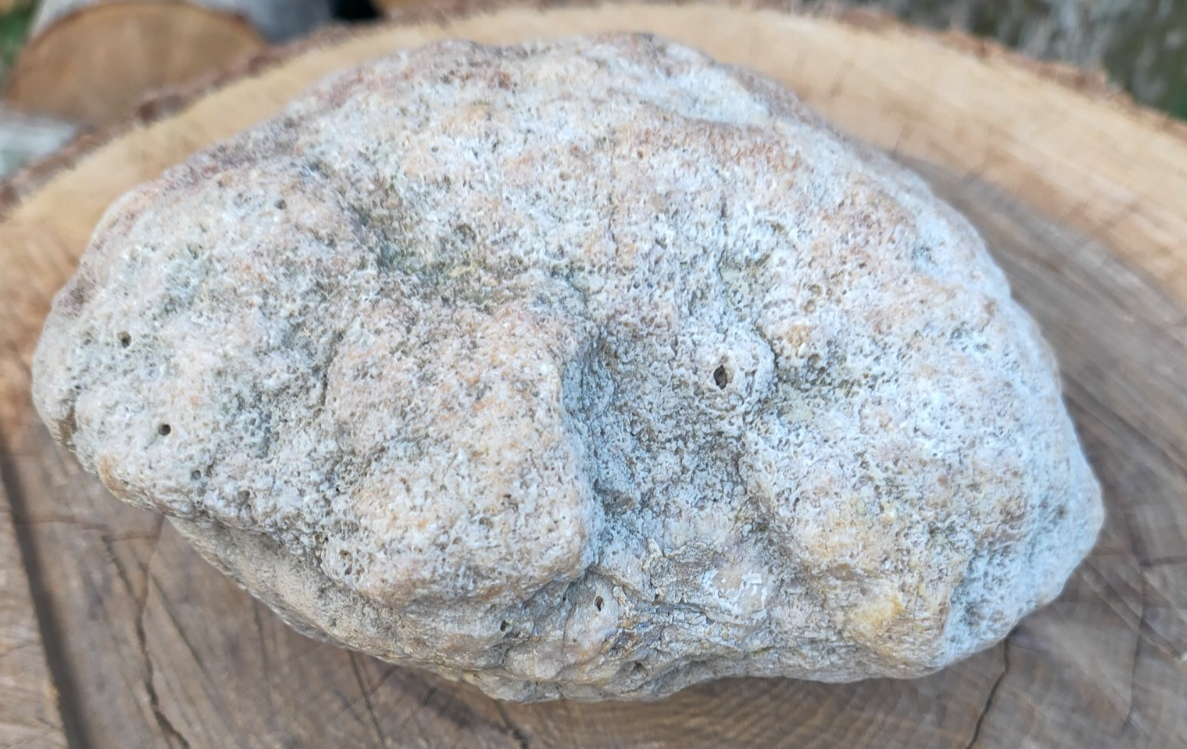 Exact Kentucky Rattler Geode, 4.09 lb Natural Unopened Crystal Geode – Fishing Creek, KY