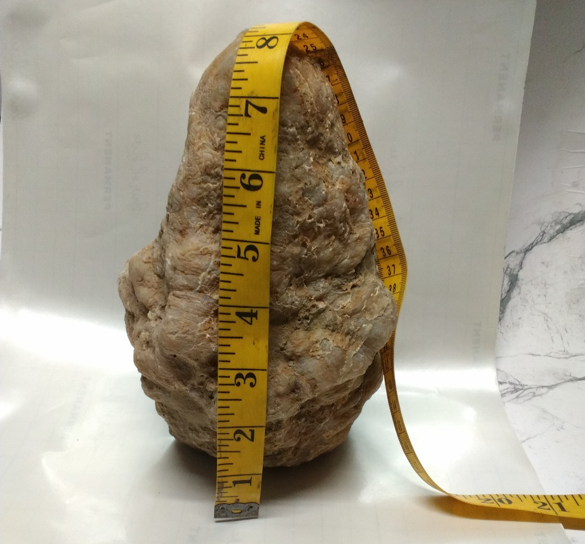 Kentucky Whole Geode, Natural Unopened Crystal Nodule, 7.74 lb, Exact Stone – Fishing Creek, KY