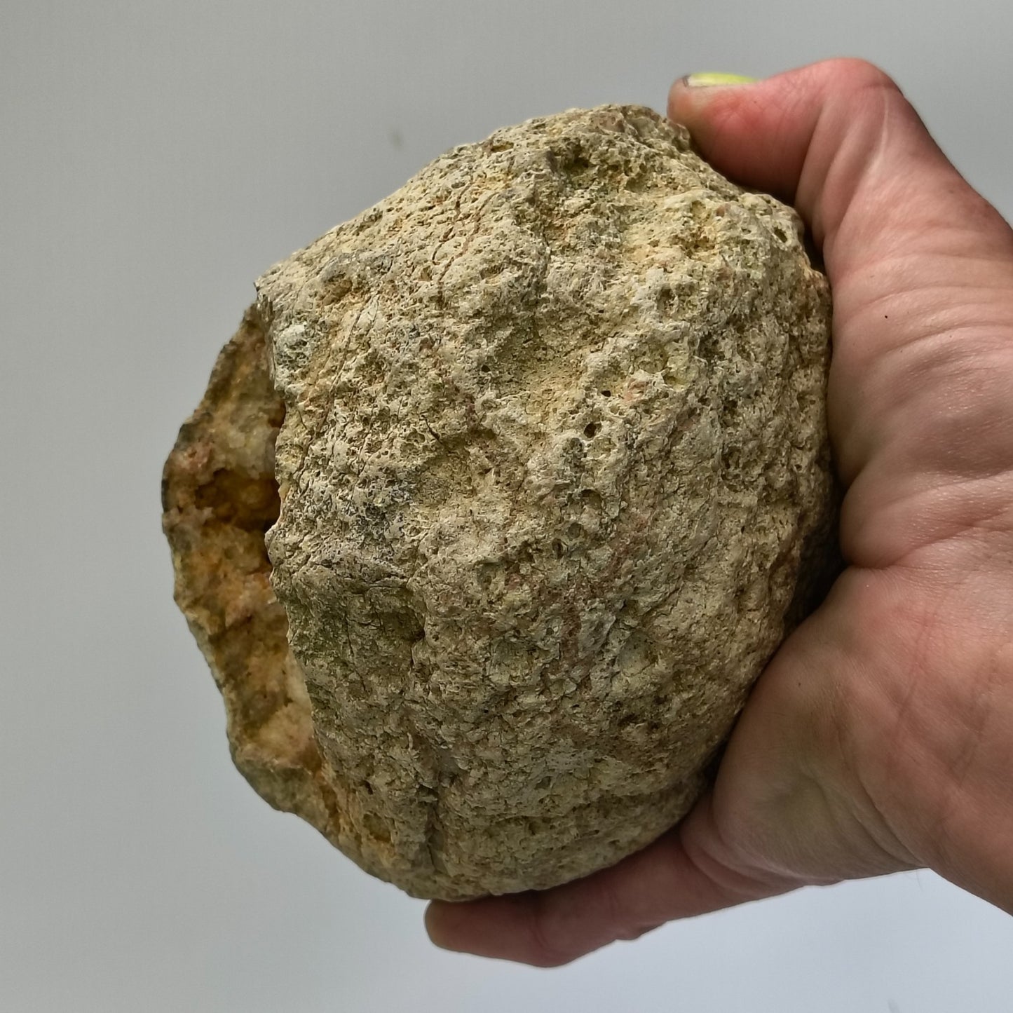 Kentucky Geode Crystal Opening, Natural Rock Specimen, Real Kentucky Geode – Fishing Creek, KY