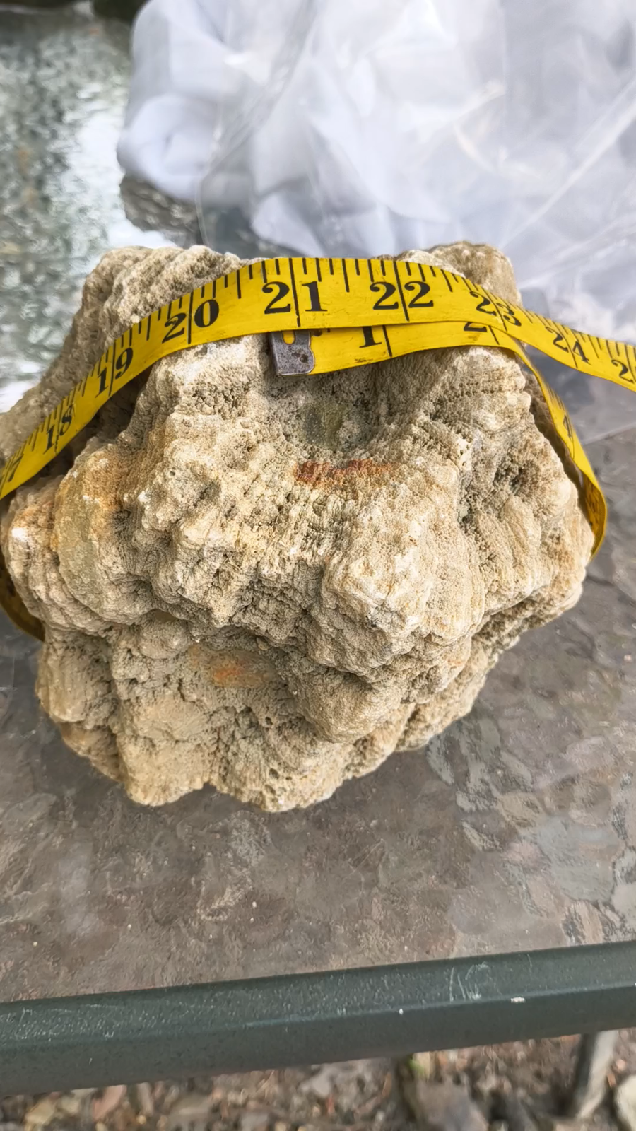 Large 11.32 lb Natural Kentucky Mineral Specimen, Display Rock – Fishing Creek, KY