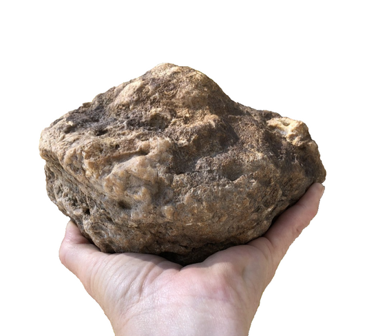 Huge 7 Inch Unopened Kentucky Geode, 6.8lb Natural Quartz Crystal Nodule, Uncut Stone – Fishing Creek, KY
