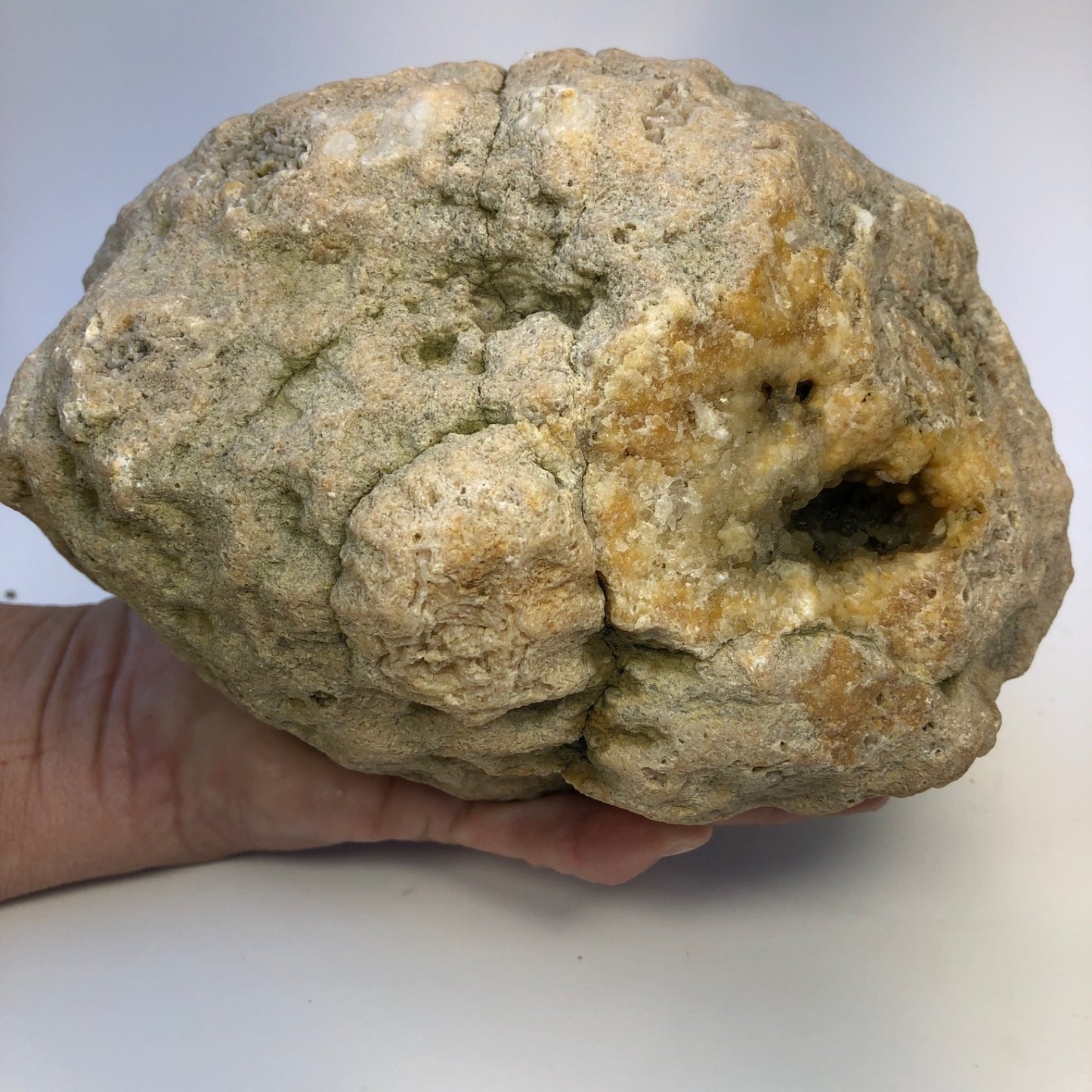 7.04 lb Natural Kentucky Geode, Whole Crystal Lined Open Pocket Display Specimen – Fishing Creek, KY