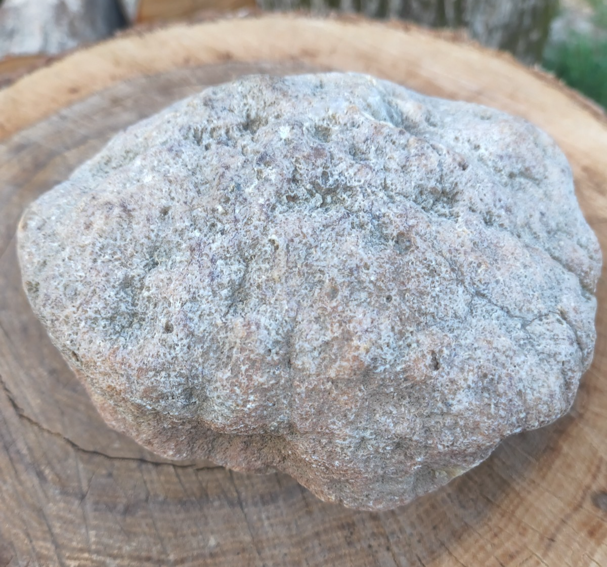 Exact Kentucky Rattler Geode, 4.09 lb Natural Unopened Crystal Geode – Fishing Creek, KY