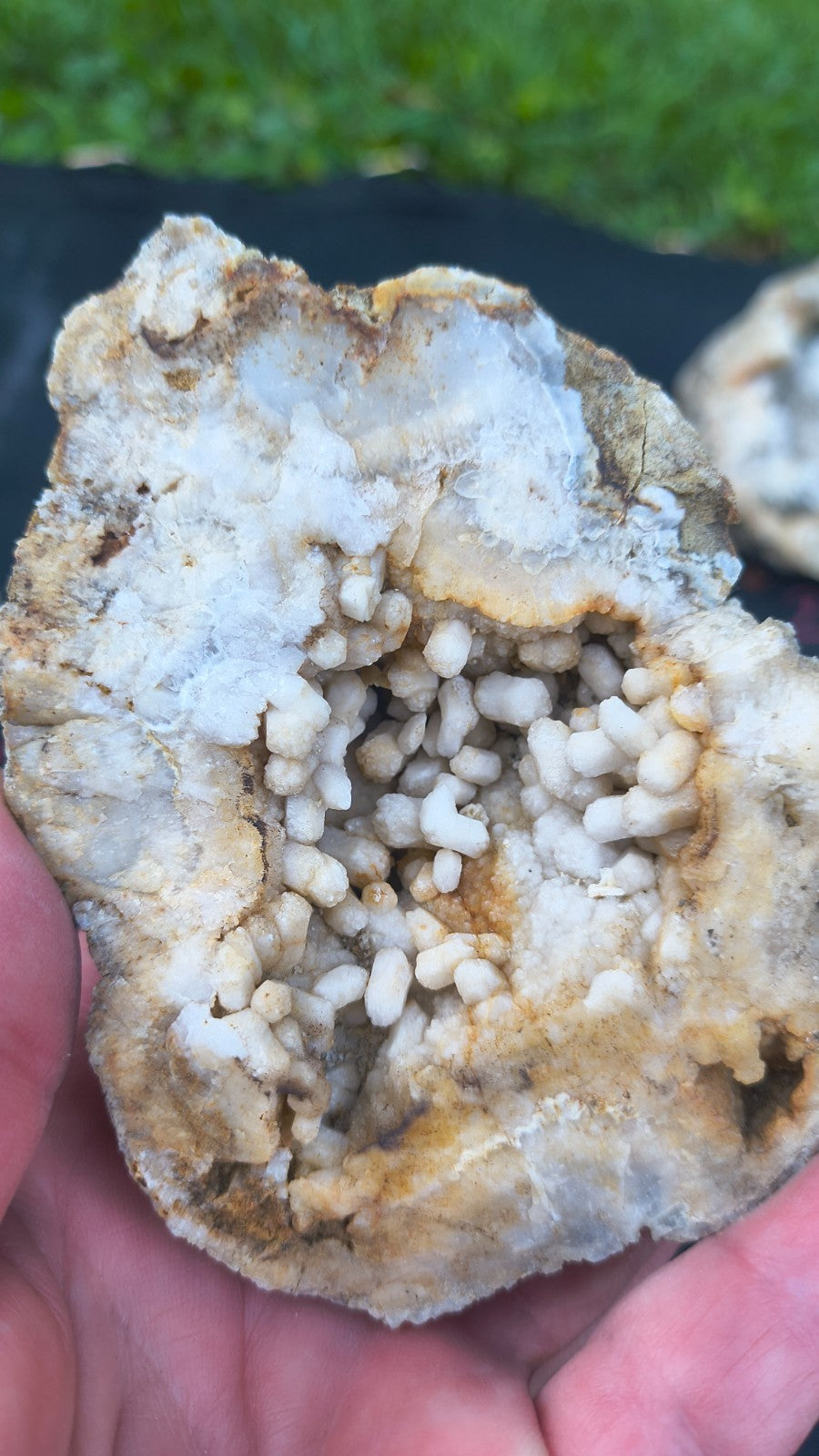 2.07 lb Natural Kentucky Crystal Lined, Open Botryoidal Calcite Display – Fishing Creek, KY