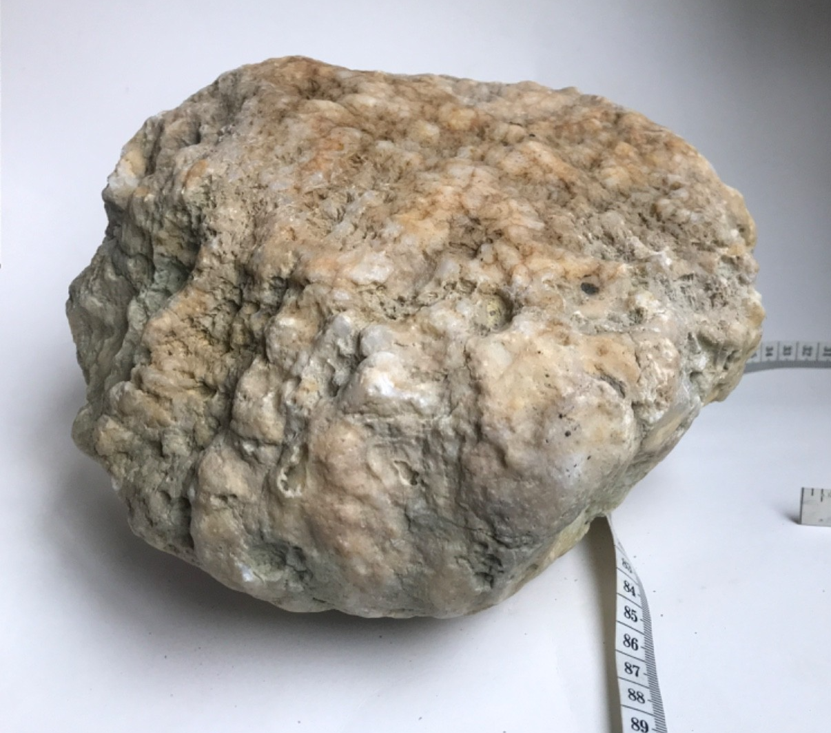 20 lb Kentucky Geode, Exact Unopened Natural Quartz Crystal, Crack Your Own – Fishing Creek, KY