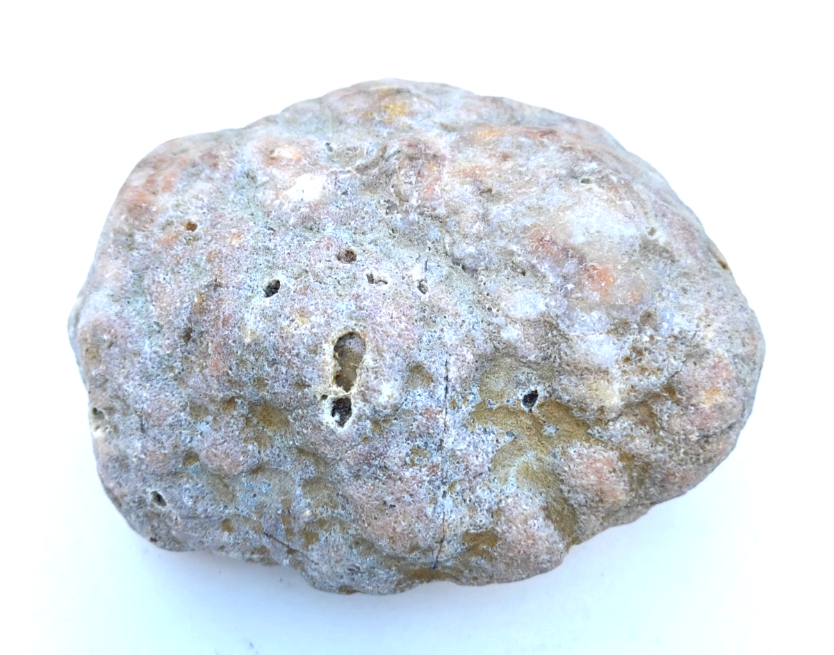 Exact Kentucky Rattler Geode, 4.09 lb Natural Unopened Crystal Geode – Fishing Creek, KY