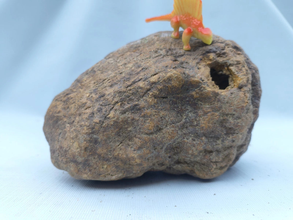 4.44 lb Kentucky geode - photo 9