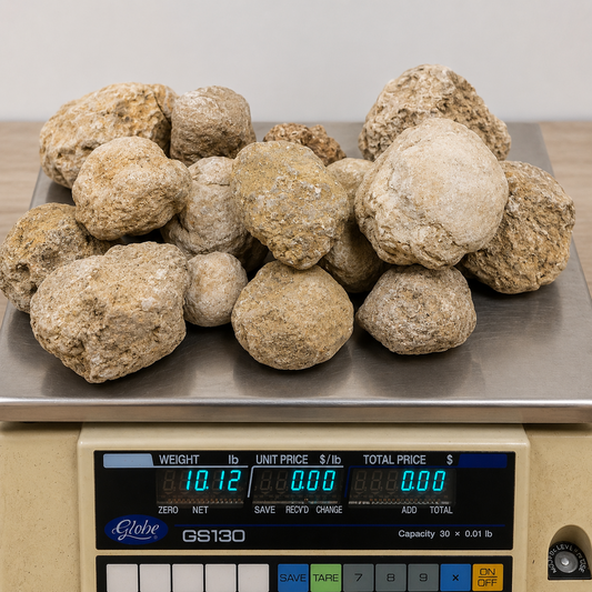10 lb Lot Unopened Kentucky Geodes, Break Your Own, Hand Picked KY Natural Quartz – Fishing Creek, KY