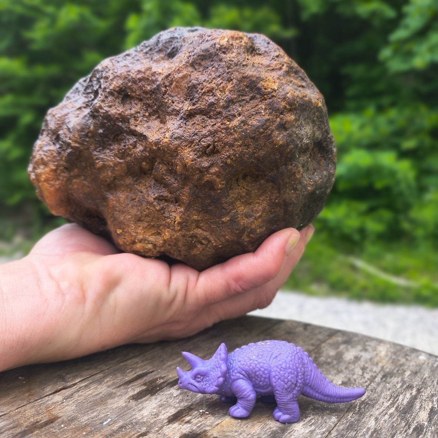 Unopened Kentucky Geode — 5.40 lb, 16" Circ, Bonus Mineral ID Card Included