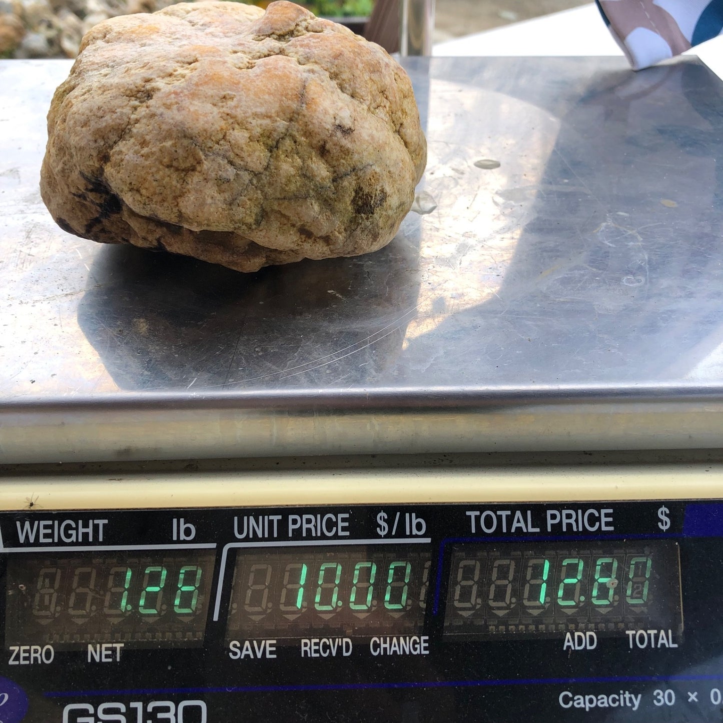1.28 lb Kentucky Geode Hollow Nodule, Unopened, Natural Quartz Crystal Rock – Hand-Collected at Fishing Creek, KY