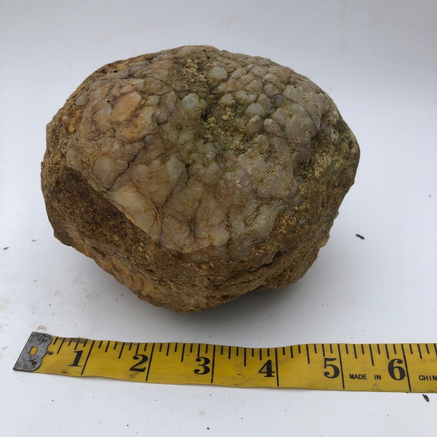 4 lb Unopened Kentucky Geode Rattler, Break Your Own, Hand Picked Natural Quartz – Fishing Creek, KY