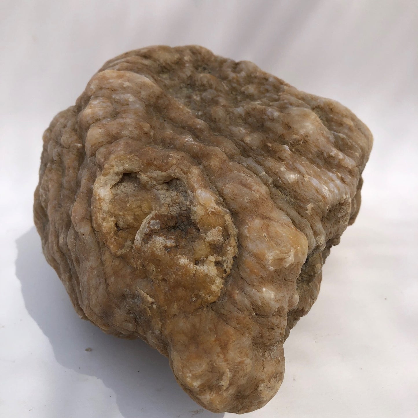 18.44 lb Kentucky Thunder Egg Geode, Lincoln County, Nodular Chalcedony, Uncut – Fishing Creek, KY