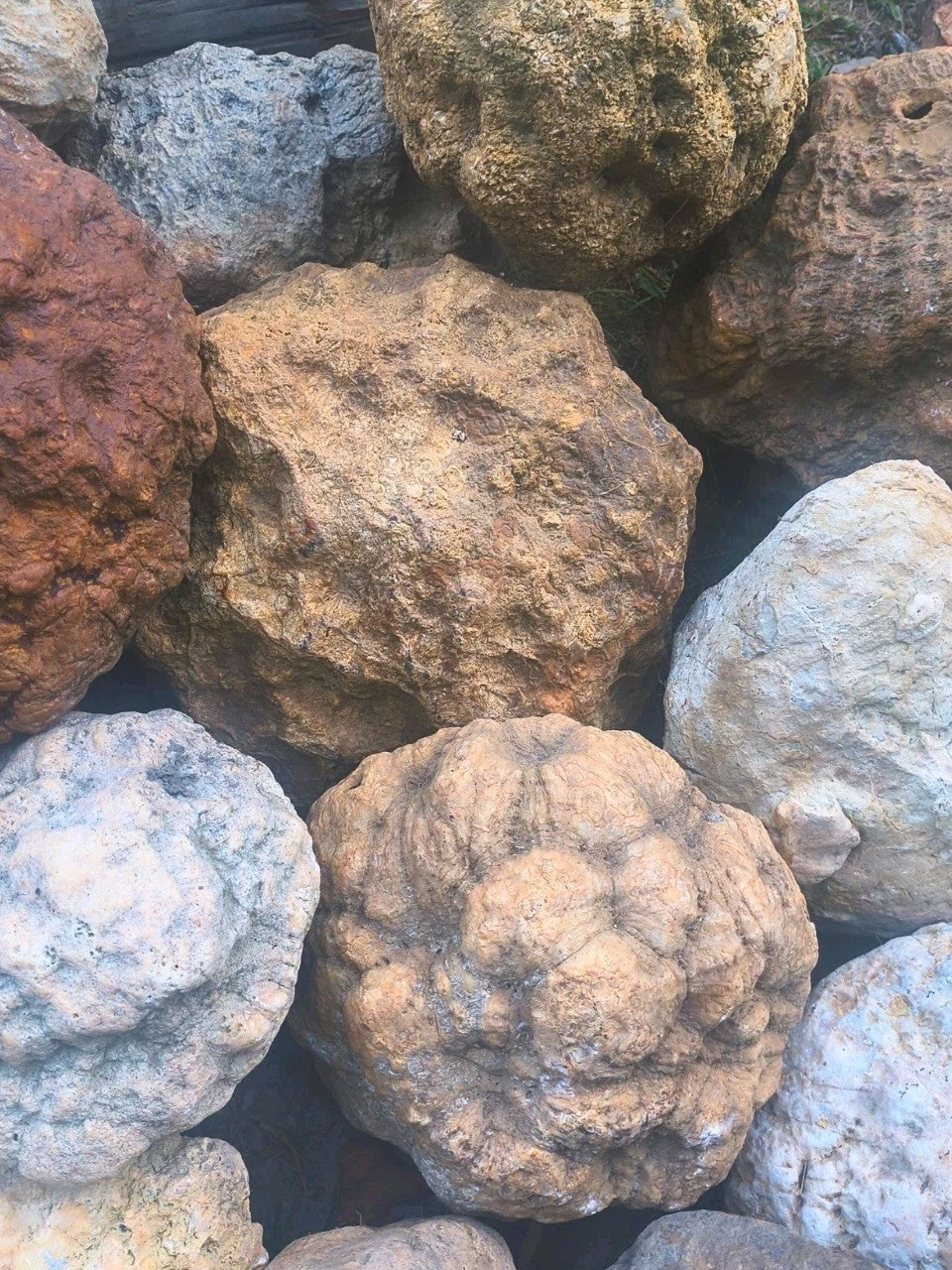 10 lb Lot Unopened Kentucky Geodes, Break Your Own, Hand Picked KY Natural Quartz – Fishing Creek, KY