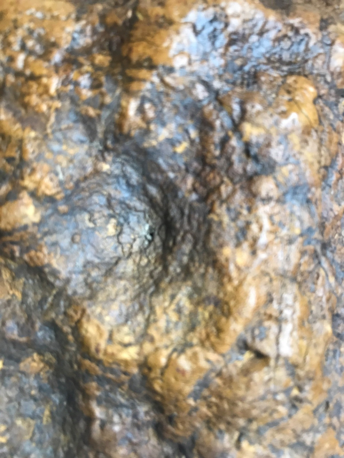 Exact Kentucky Geode, 35 lb Natural Crystal Nodule Specimen – Fishing Creek, KY