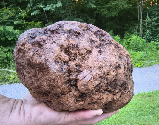 10.07 lb Kentucky Geode, Unopened, Natural Crystal Geode + Bonus – Hand-Collected at Fishing Creek, KY