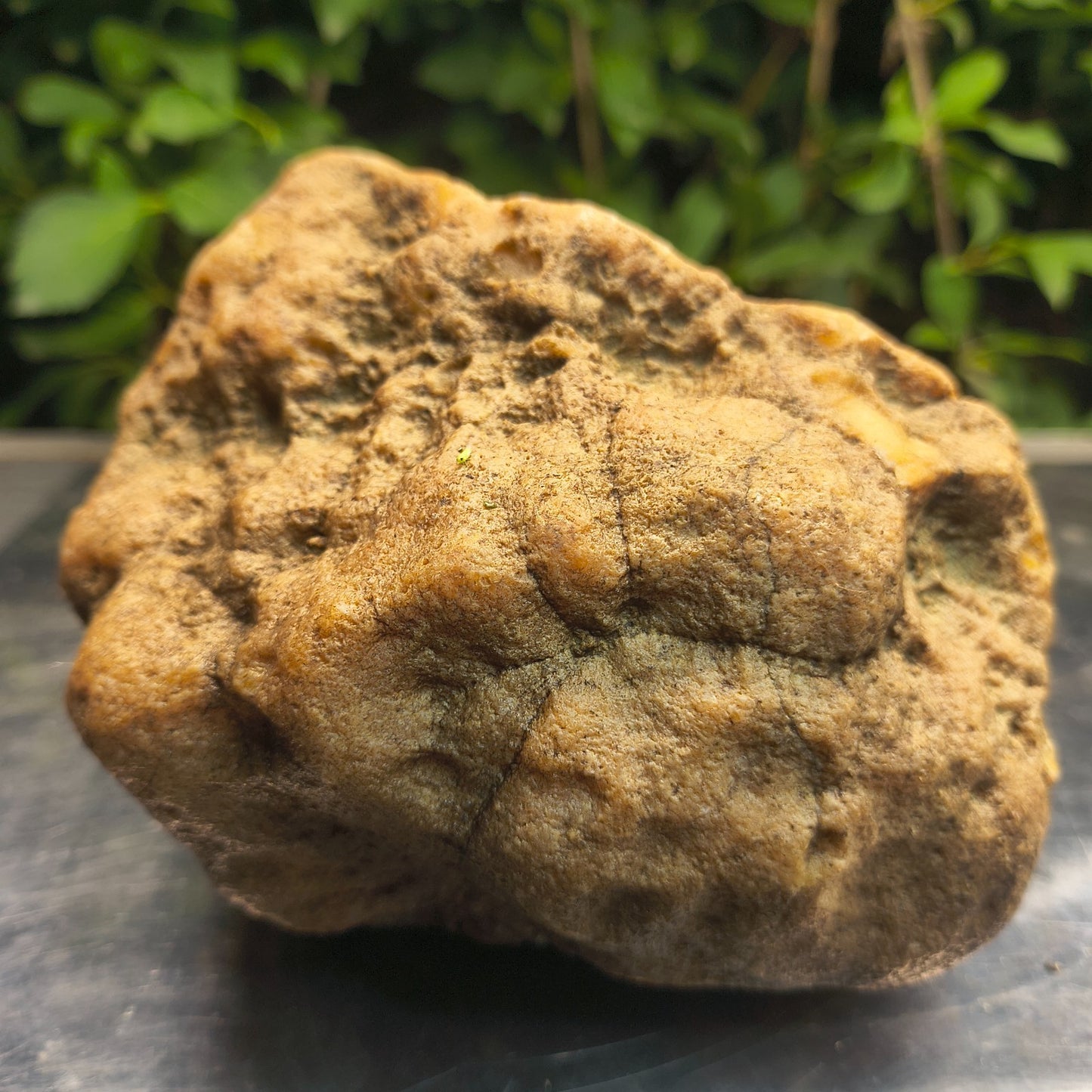 Kentucky Crystal Geode, Natural Druzy Quartz Geode, 4.53 lb Educational Specimen – Fishing Creek, KY
