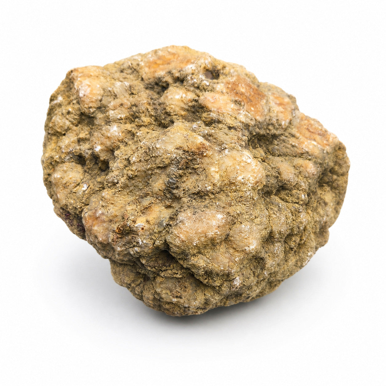Kentucky Geode, 6.01 lb Whole Unopened Natural Quartz Crystal Rock, 6 Inch – Fishing Creek, KY