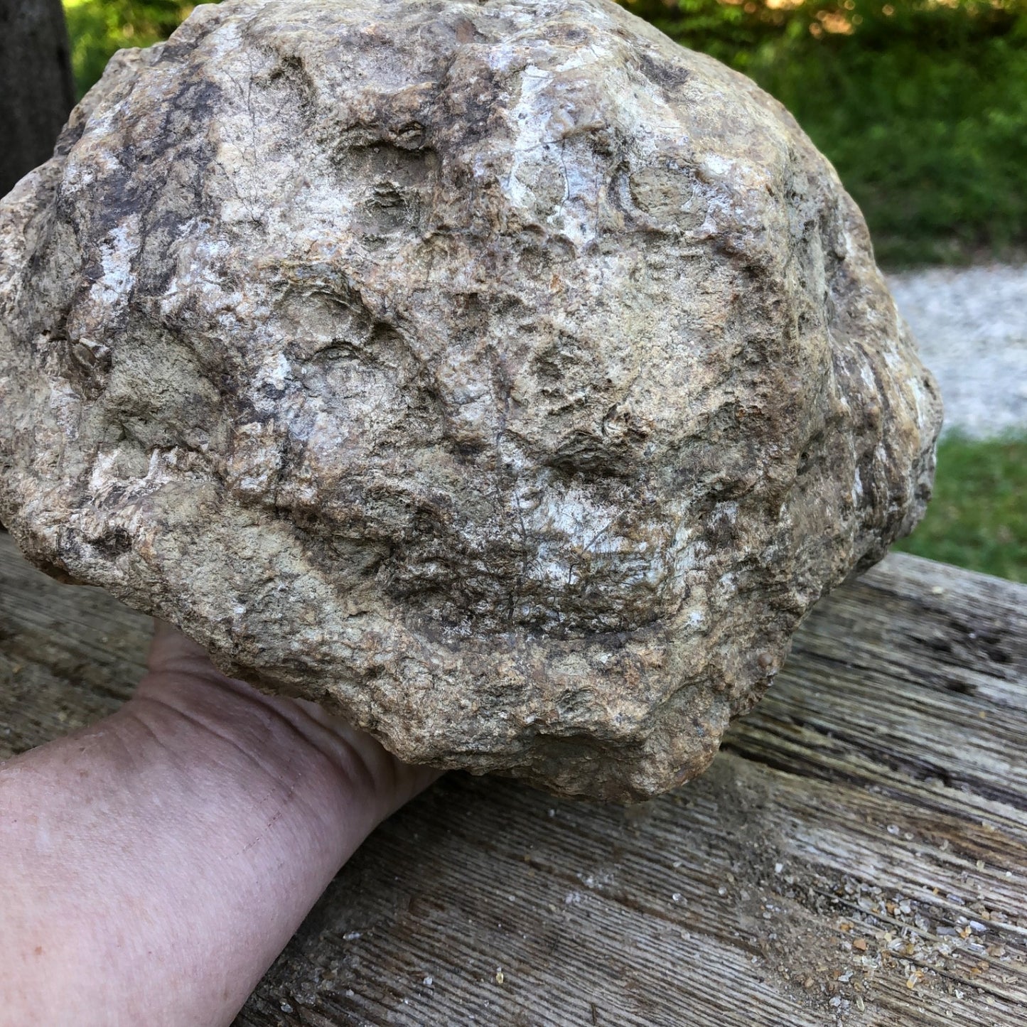 Large Kentucky Geode, 11.20 lb Unopened Natural Crystal Geode, Exact 9 Inch Specimen – Fishing Creek, KY