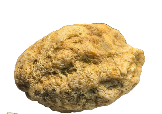 2.84 lb Kentucky Rattler Geode, Exact Unopened Natural Crystal Specimen – Fishing Creek, KY