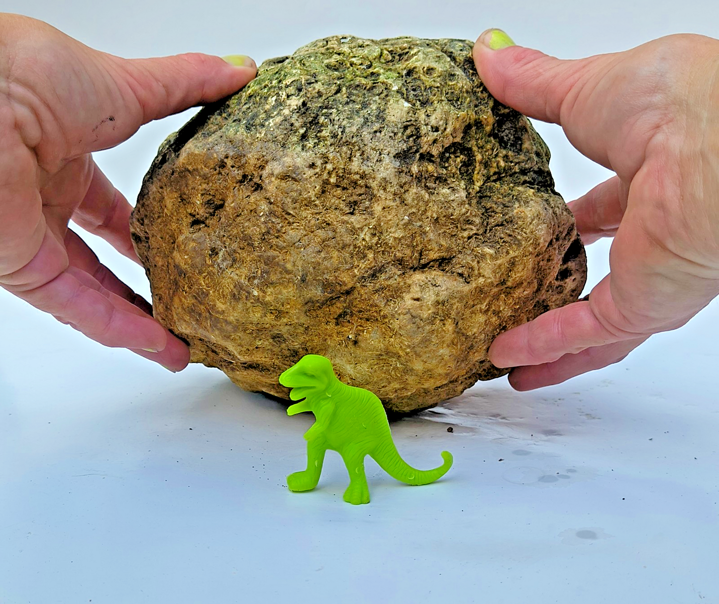 10.14 lb Unopened Large Geode Nodule, Natural Quartz Crystal, Uncut – Hand-Collected at Fishing Creek, KY