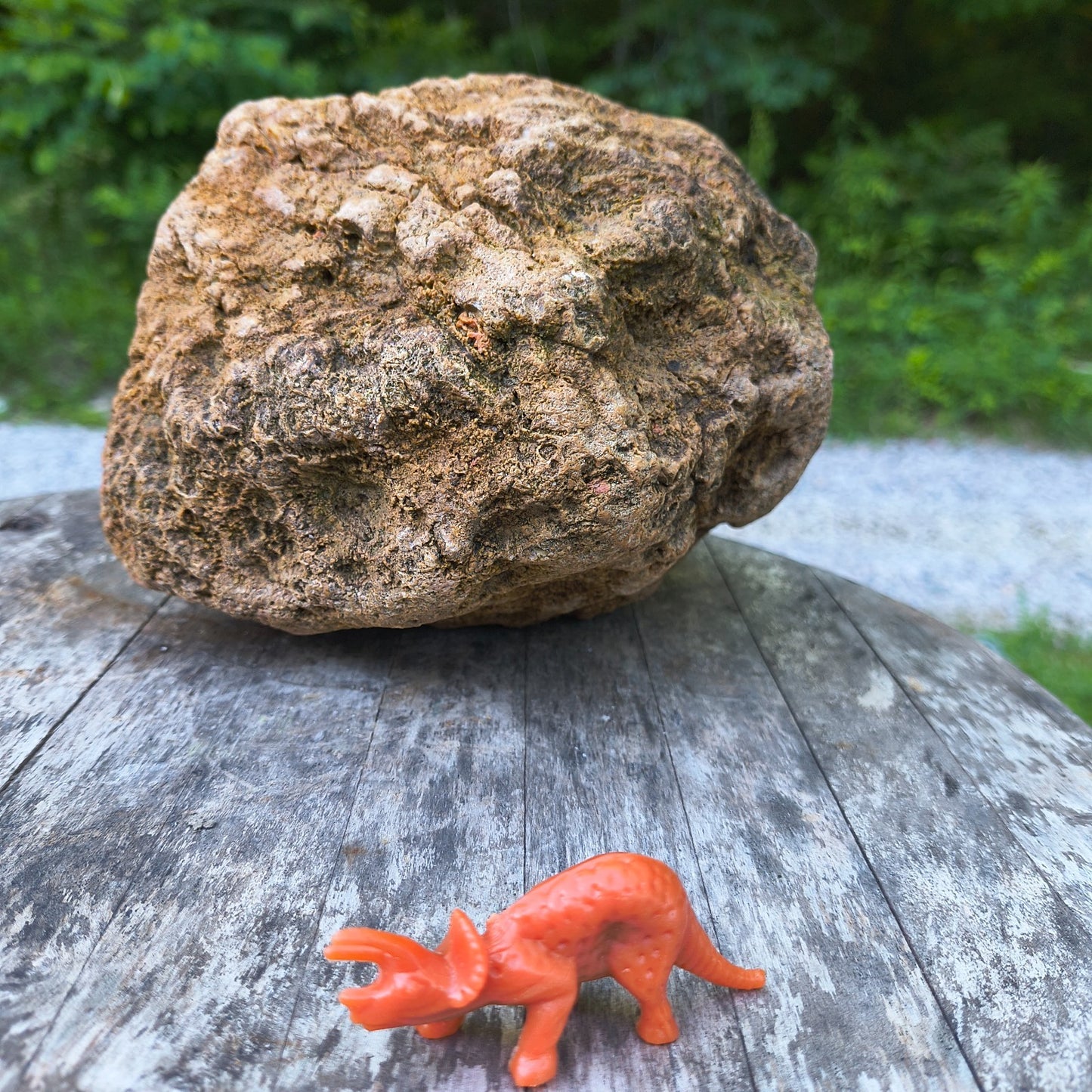10.13 lb Kentucky Geode, Unopened, Natural Crystal Geode + Bonus – Hand-Collected at Fishing Creek, KY
