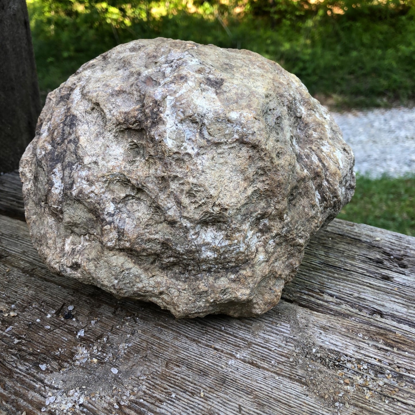 Large Kentucky Geode, 11.20 lb Unopened Natural Crystal Geode, Exact 9 Inch Specimen – Fishing Creek, KY