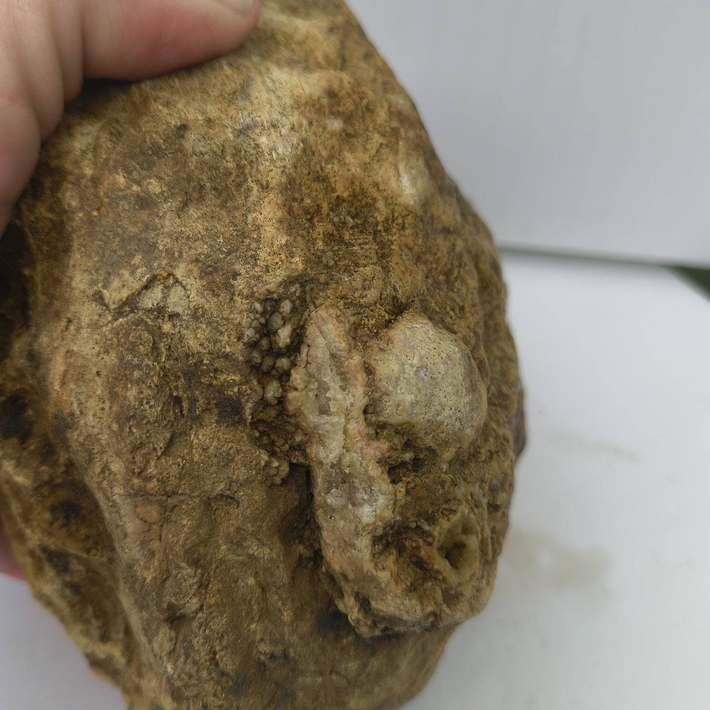4.44 lb Kentucky Geode, Unopened Exact Specimen, Natural Whole Geode – Fishing Creek, KY
