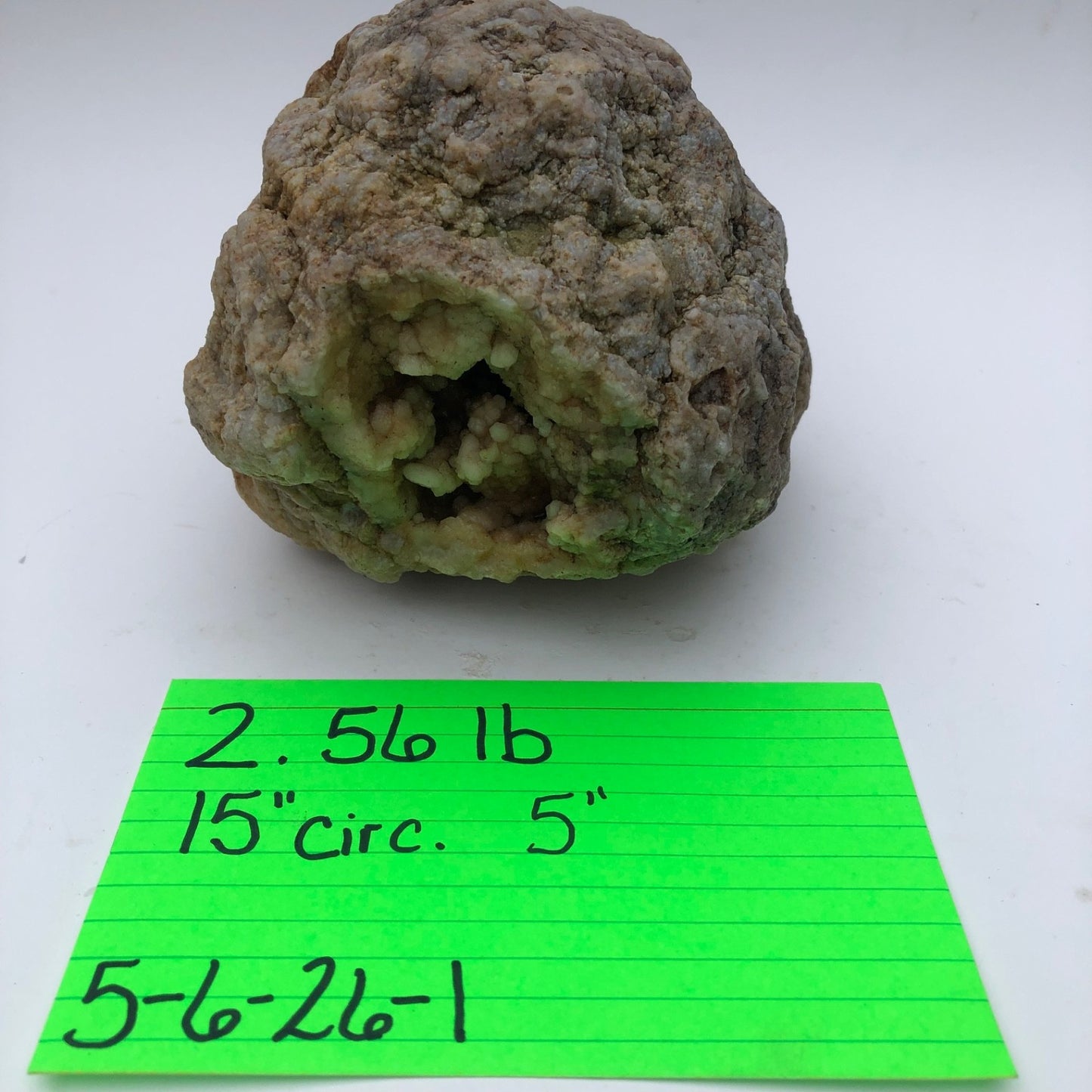 2.5 lb Kentucky Geode Rattler, Whole Natural Crystal Specimen, 5 Inch – Fishing Creek, KY