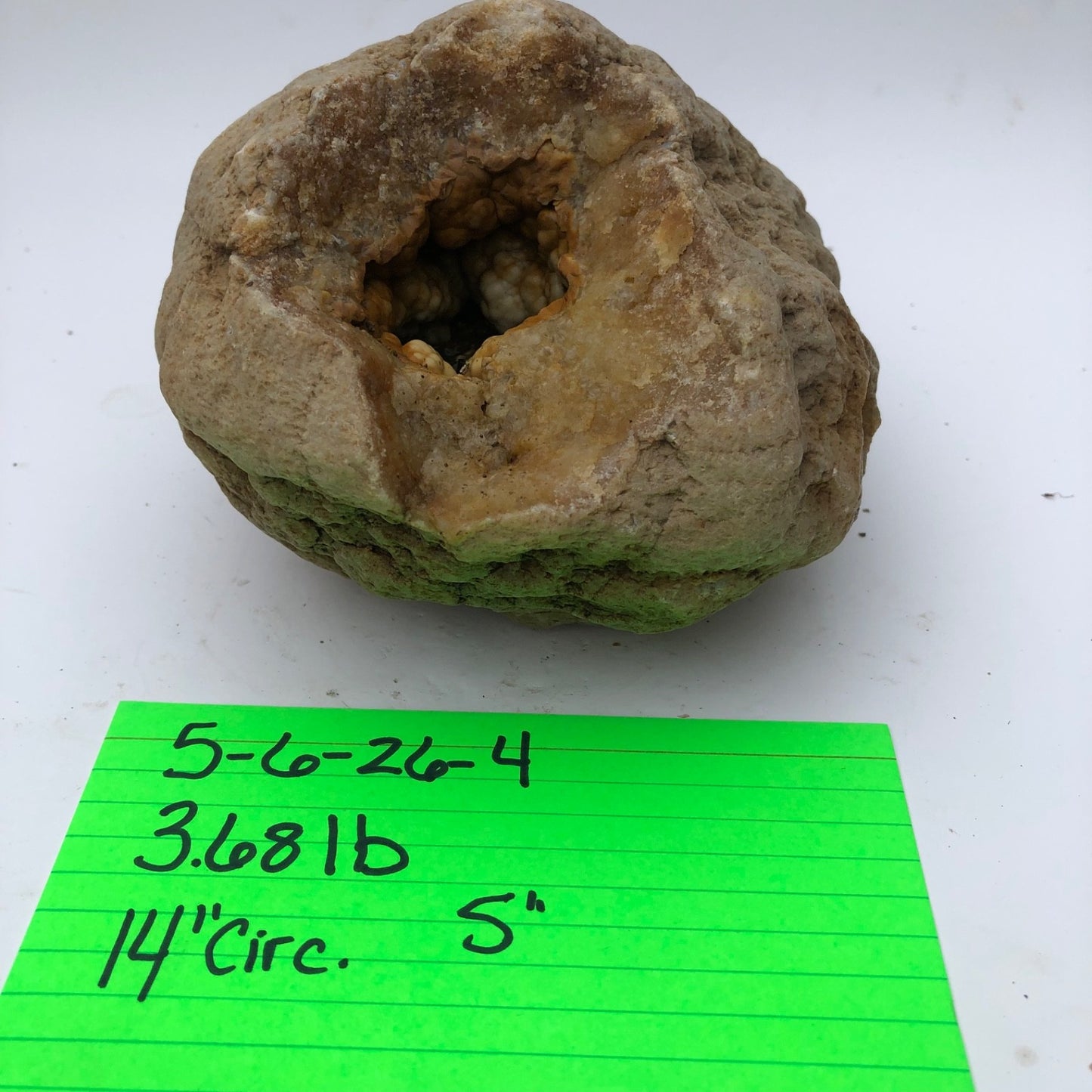 3.68 lb Open Face Kentucky Geode, Chalcedony Botryoidal Quartz, Exact Specimen – Fishing Creek, KY