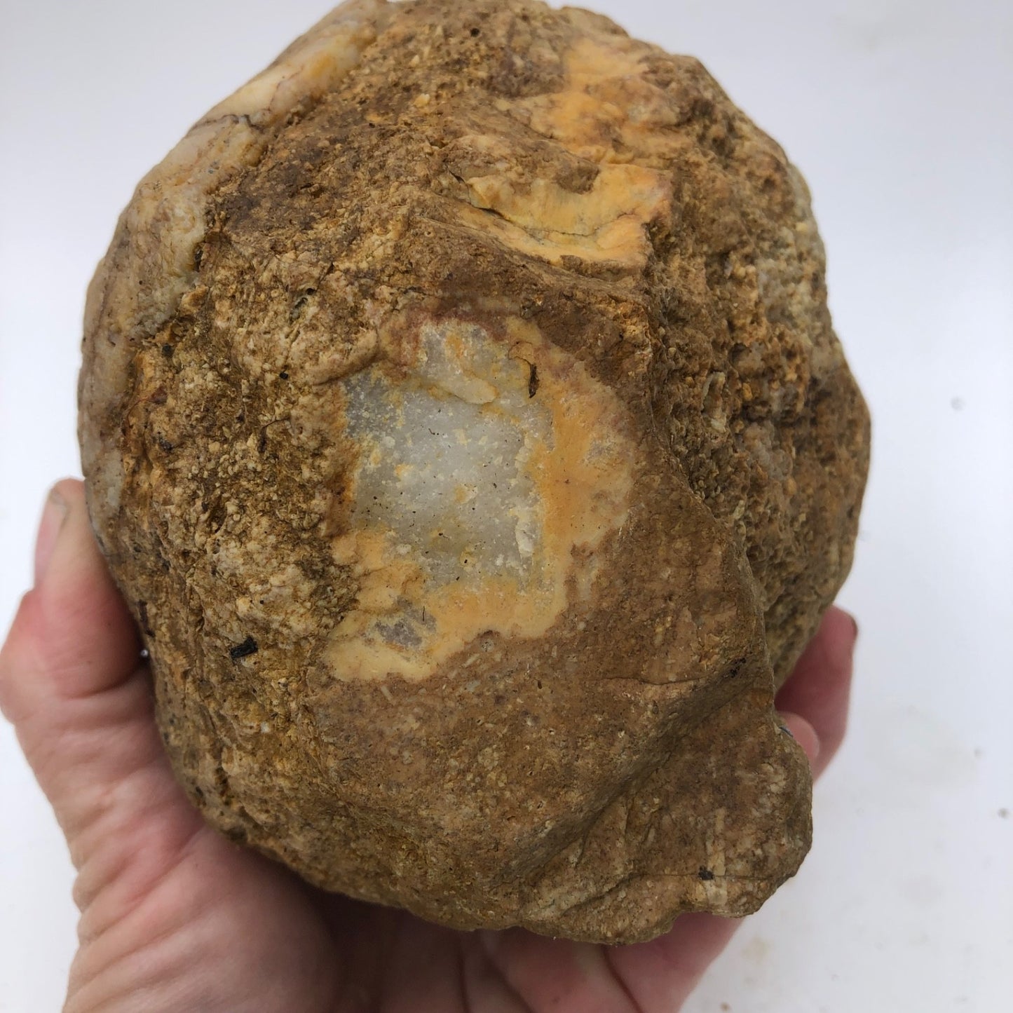 4 lb Unopened Kentucky Geode Rattler, Break Your Own, Hand Picked Natural Quartz – Fishing Creek, KY