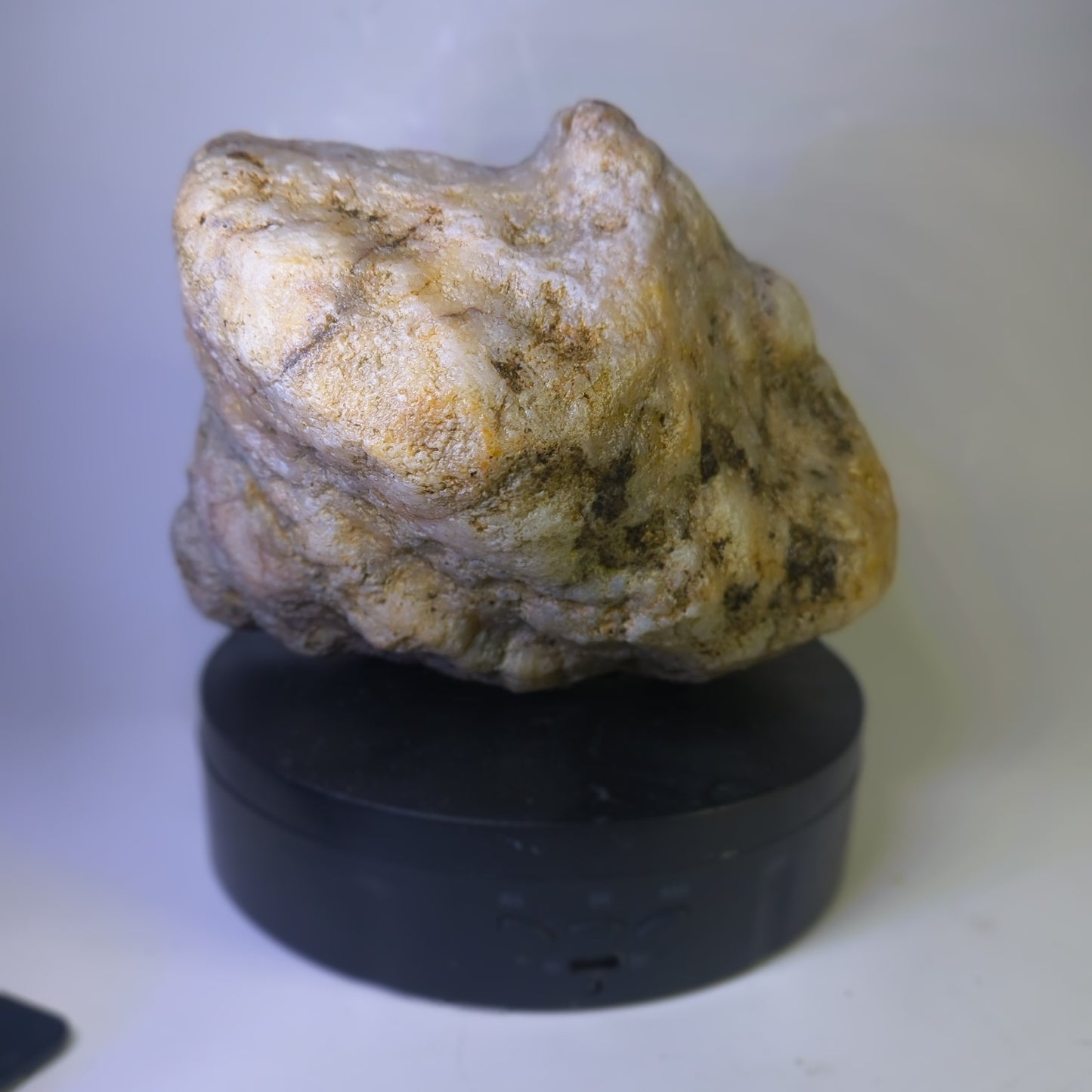 5.81 lb Kentucky Fossil Geode, Horn Coral Crinoid, 7.5 Inch, Hand Picked KY Natural – Fishing Creek, KY